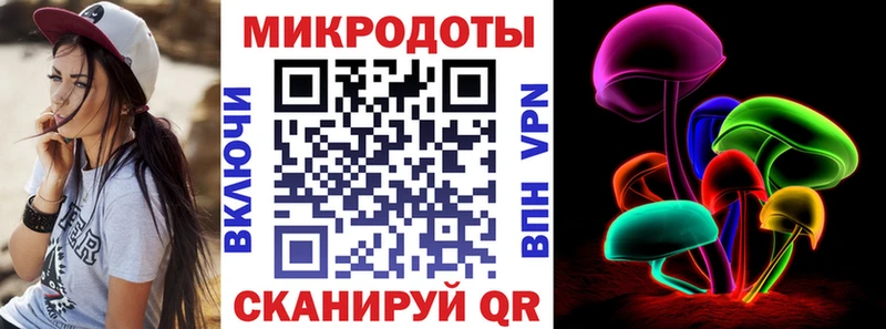 Псилоцибиновые грибы Psilocybine cubensis  Микунь 